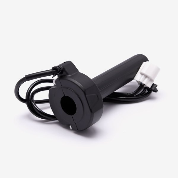 Charged Electronic Throttle Assembly