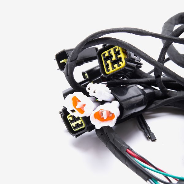 Charged Wiring Loom for Light bee