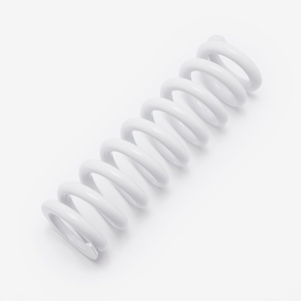 Charged Rear Shock Absorber Spring 550lbs