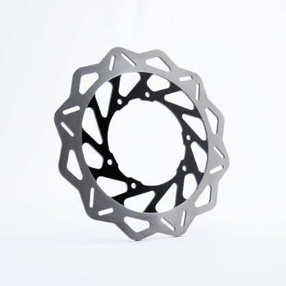 Rear Brake Disc