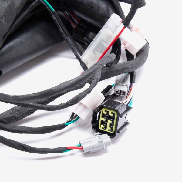 Charged Wiring Loom for Light bee