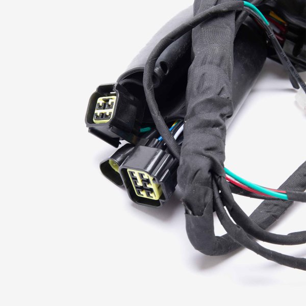 Charged Wiring Loom for Light bee
