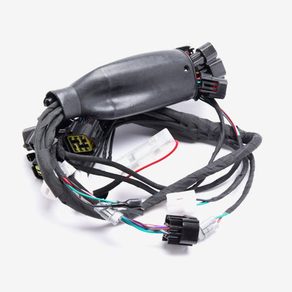 Charged Wiring Loom for Light bee
