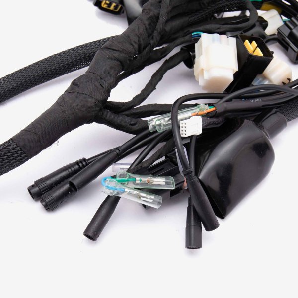 Wiring Loom