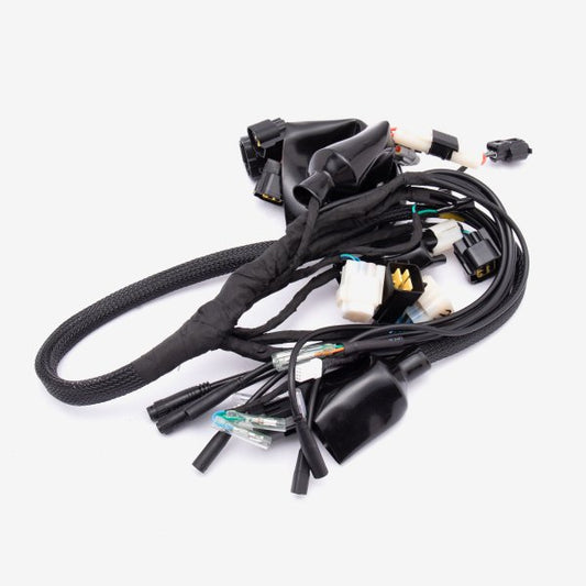 Wiring Loom