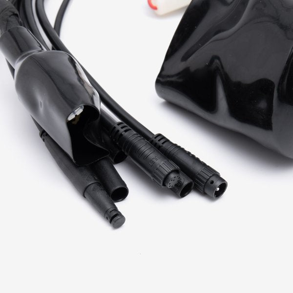 Wiring Loom