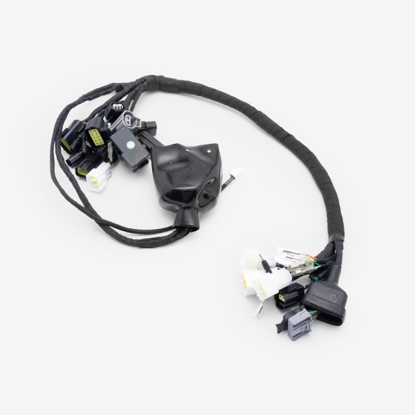 Charged Wiring Loom for Ultra Bee