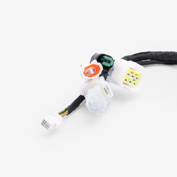 Charged Wiring Loom for Ultra Bee