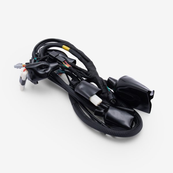 Wiring Loom