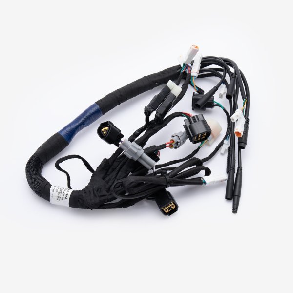 Wiring Loom
