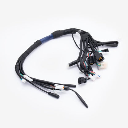 Wiring Loom