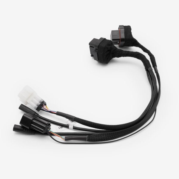 EBMX X-9000 V3 Harness for Light Bee