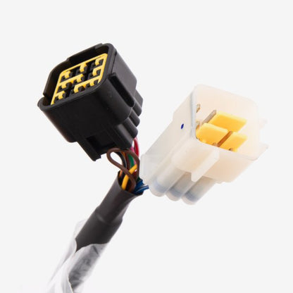 Motor Controller Un-Restricted Sting R Logo