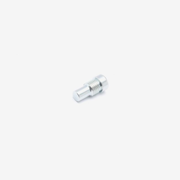 Battery Compartment Cover Bolt M8 x 19mm