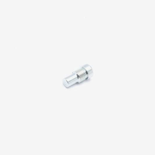 Battery Compartment Cover Bolt M8 x 19mm